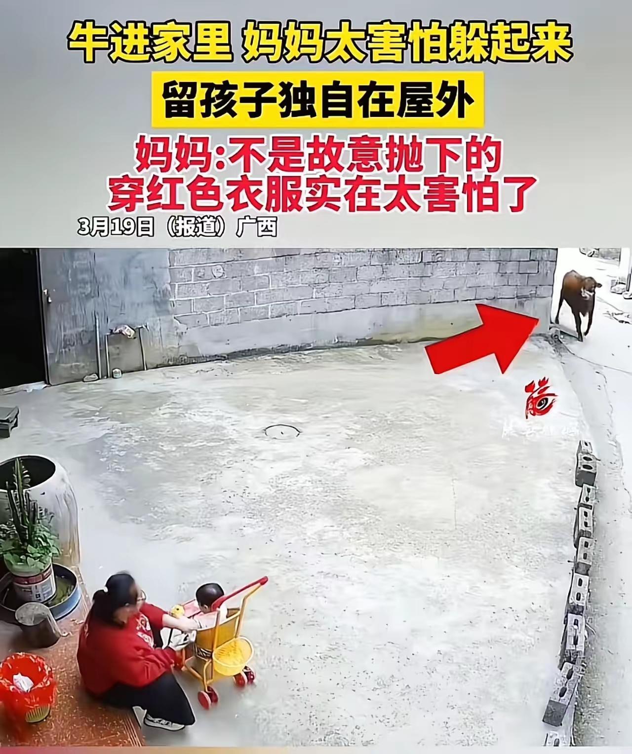 红衣妈妈弃子躲牛引众怒：是本能恐惧还是母爱缺失？家门口惊魂一刻揭穿人性底线！
