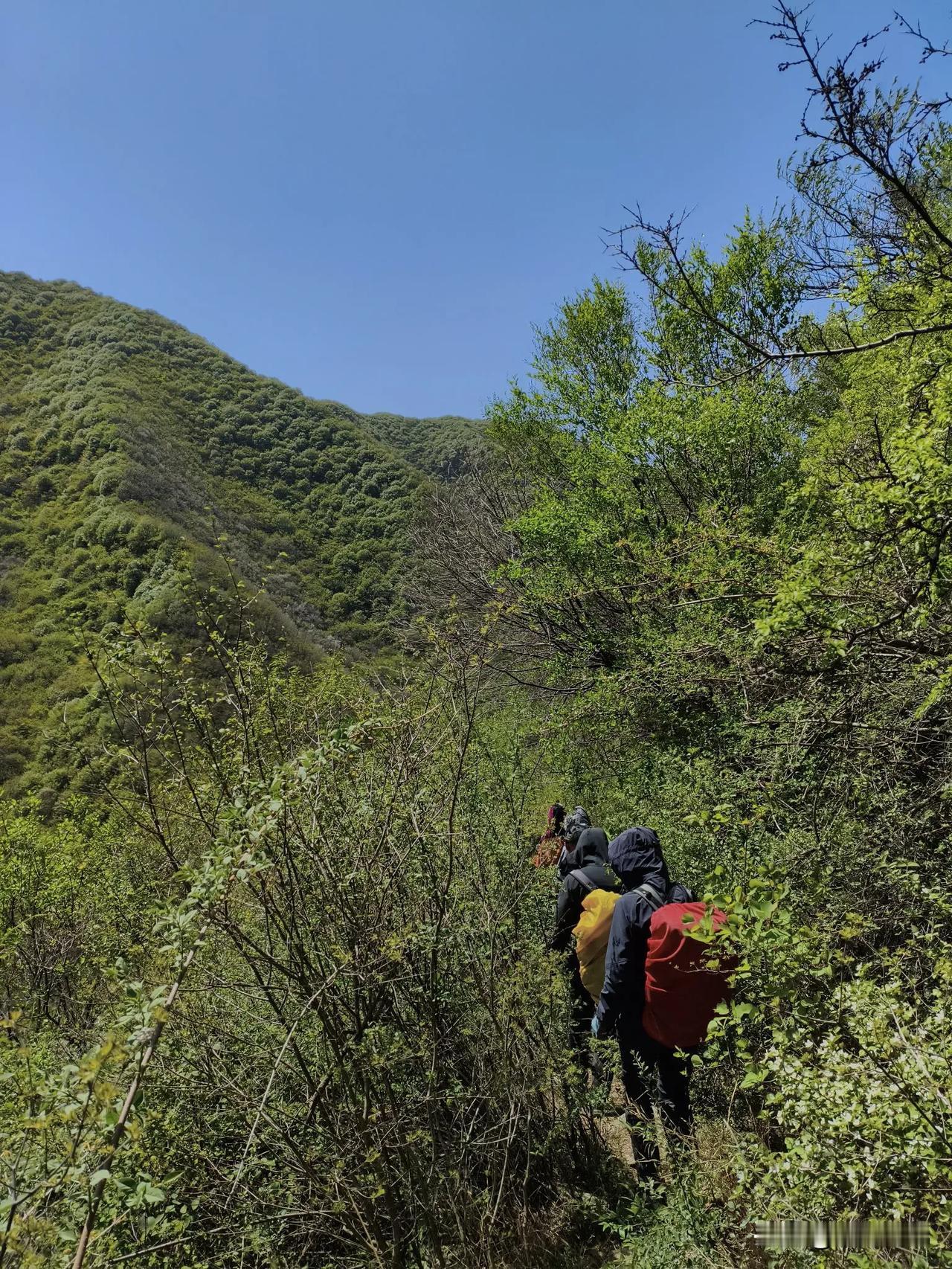群山连绵，层峦叠嶂，横看成岭侧成峰，风啸林海鸣。