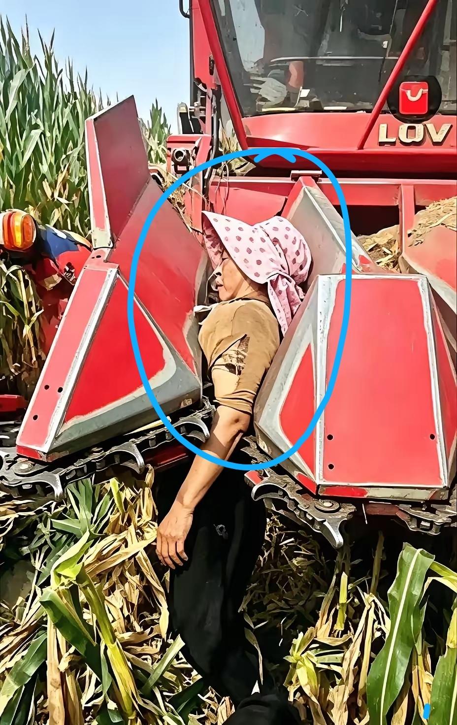 唉，只能说老百姓太不容易了，为了捡个玉米棒子，结果把人搭进去了，但凡她有一两千块