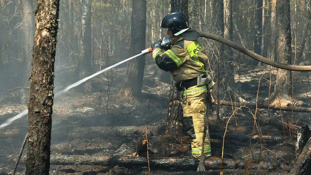 俄罗斯森林消防部门一天扑灭92起野火

来源:俄罗斯卫星通讯社

据俄罗斯航空森