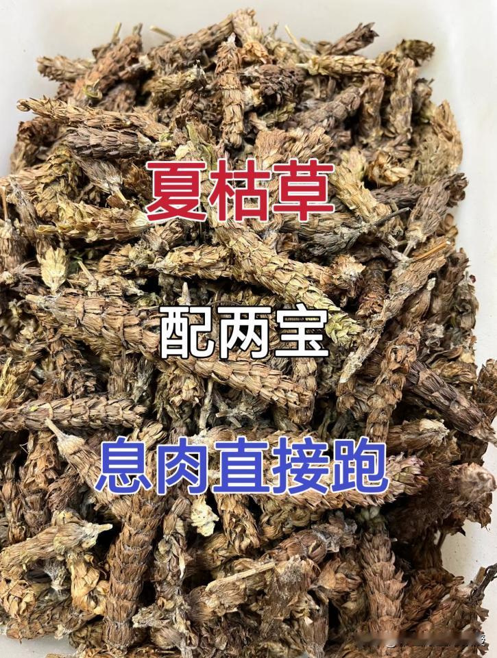 胆息肉，不到5块钱，每周煮水喝几次 

大家好，我是你们的中医朋友。 胆囊息肉，