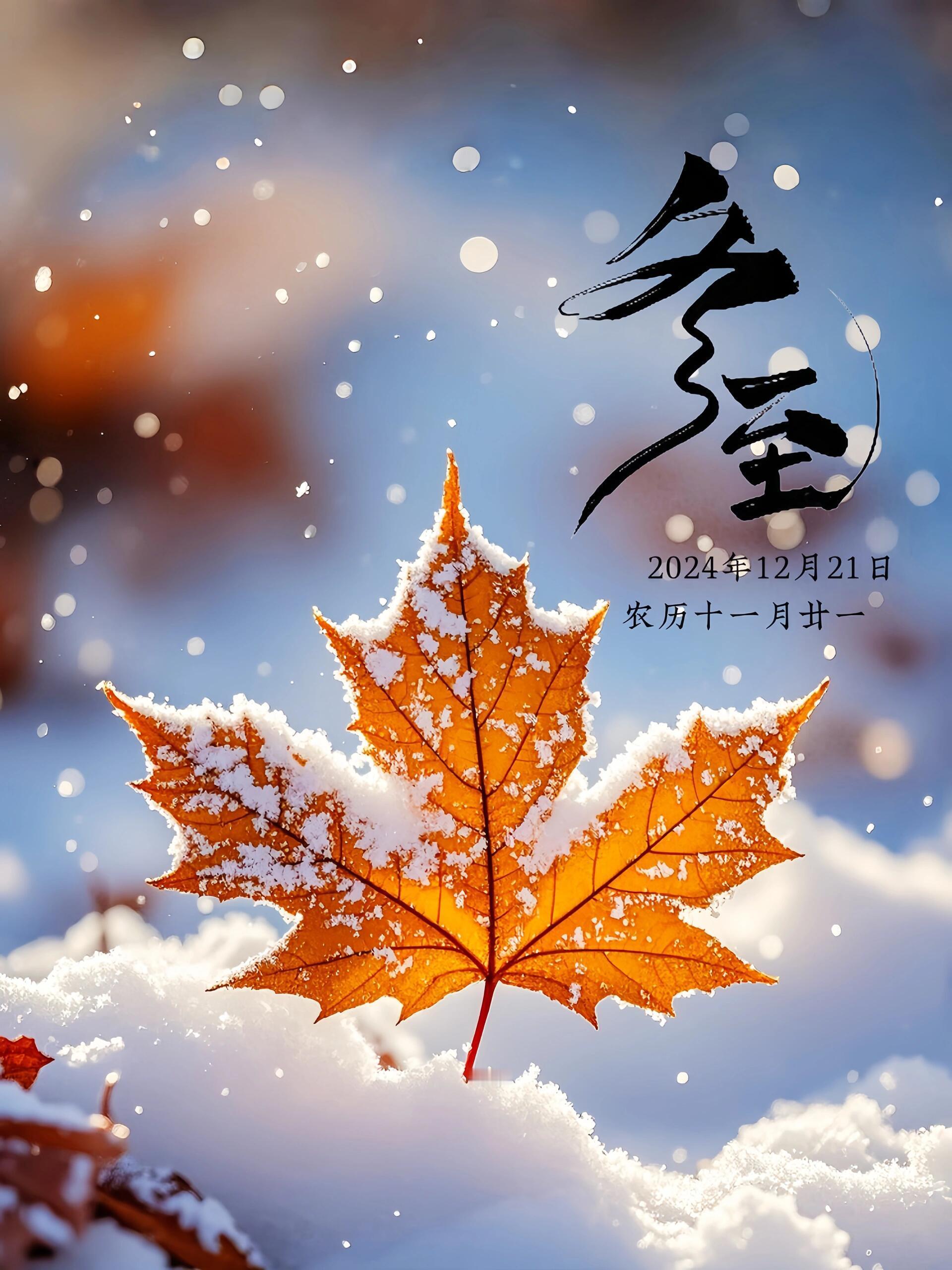 🥟南圆北饺|冬至大如年❄️冬至节气海报文案❄️【冬至·温情篇】❄️在这个岁末年