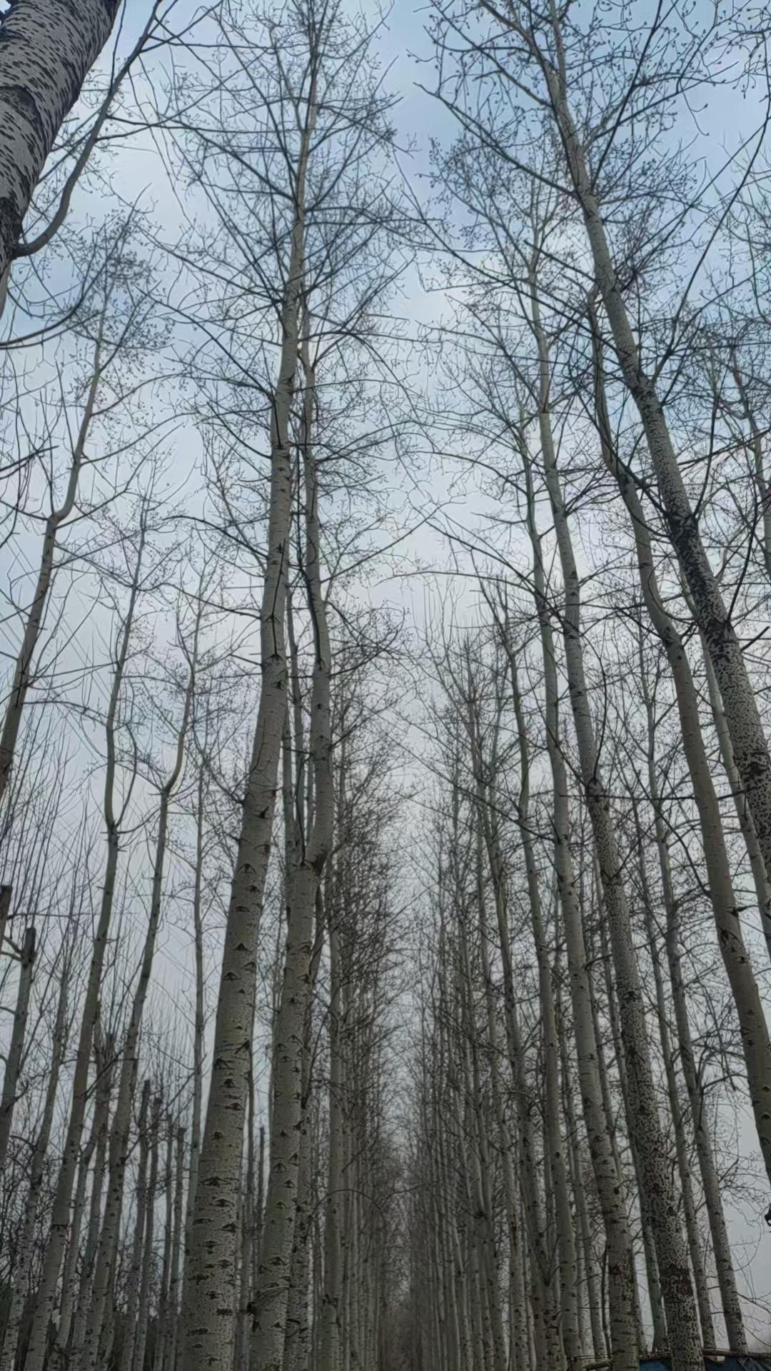 用一句话总结,婚姻的意义是什么?婚姻的意义就是等价交换，也是所有人与人之间的关系