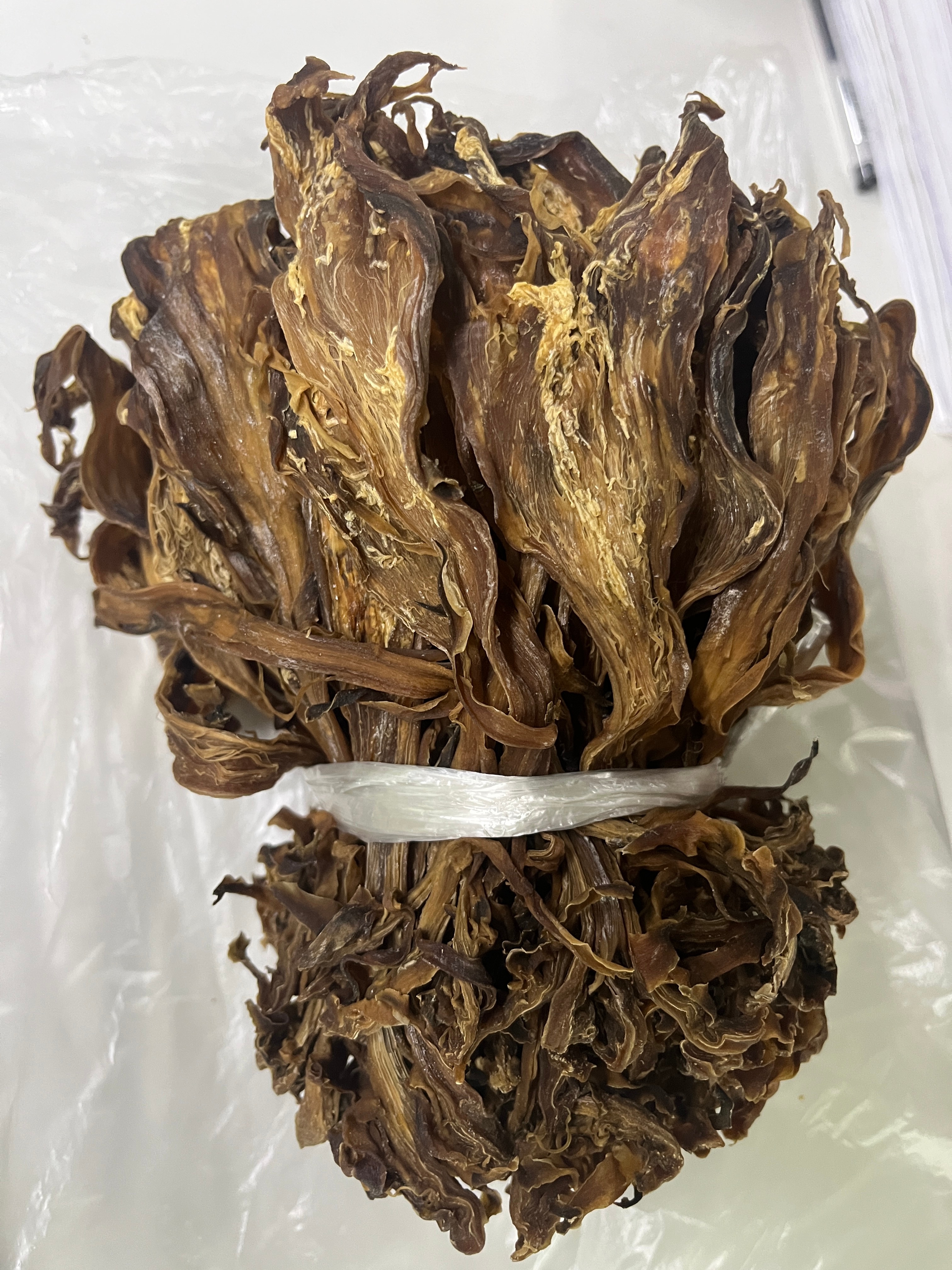 找粉丝买了点剑花来煲汤，我查了下，它对呼吸系统还是有好处的。你们吃过没？ 