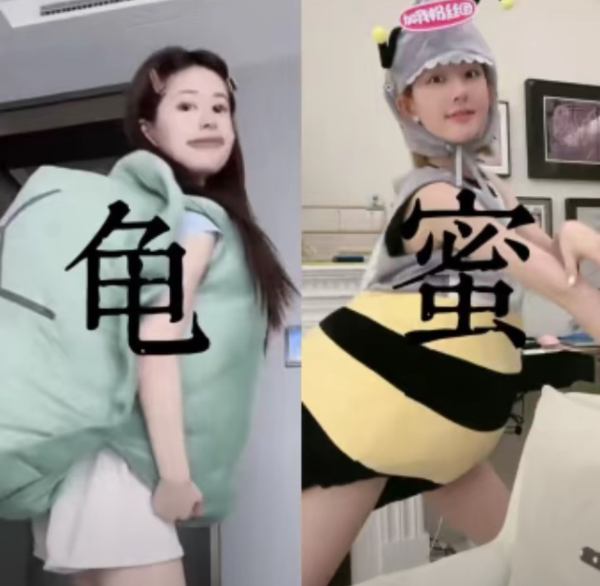 你的好龟蜜来了 ​​​