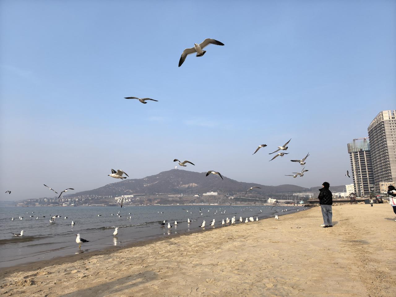 虽然吴京和张雪峰领域不同，但我还是更看重张雪峰，张雪峰对这个社会的贡献更大。可惜