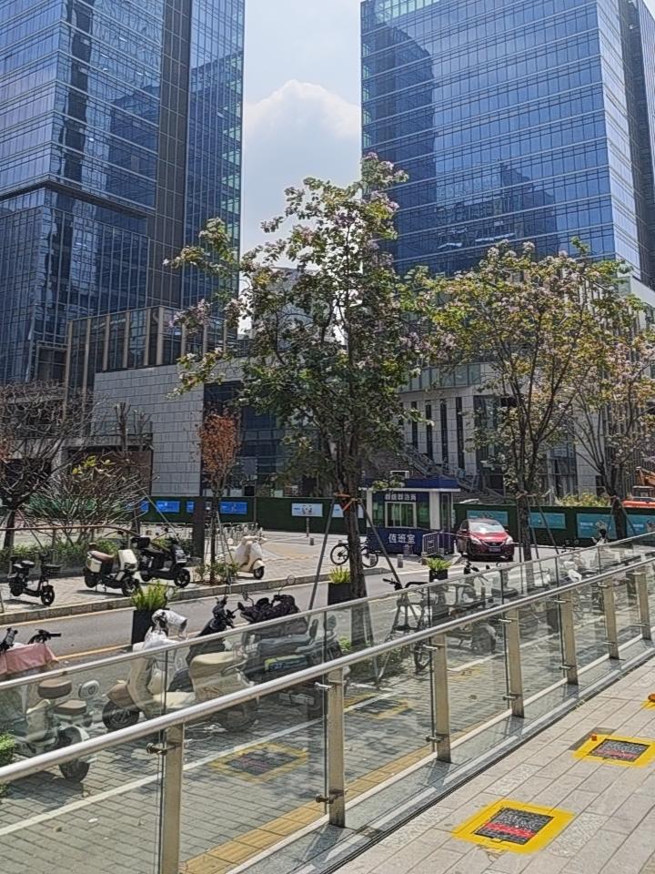 一张图片，豆包可以分析出这么多东西？

这张图片展现了深圳CBD核心区的典型街景