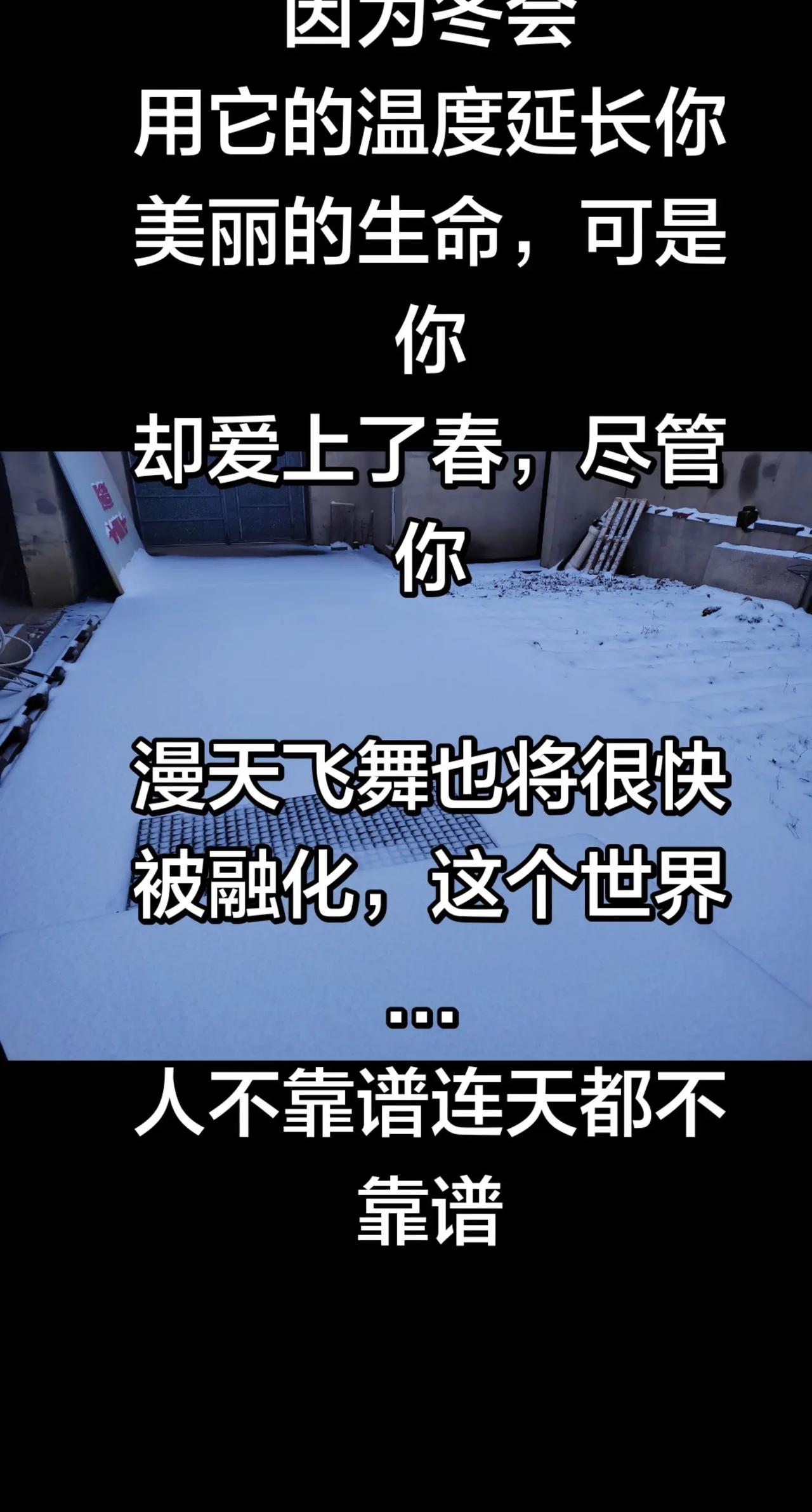 雪本是冬的伴侣，却做了春的情人。雪本是冬的伴侣， 却做了春的情人， 好一场无情的