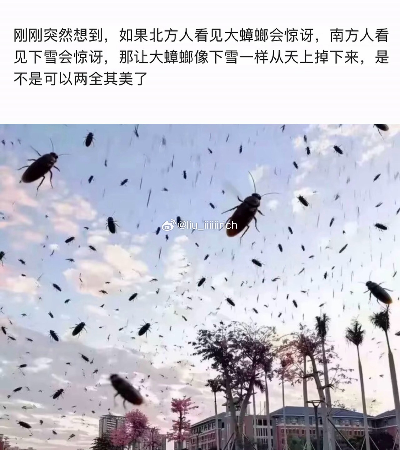 小说里的末世远不及此 