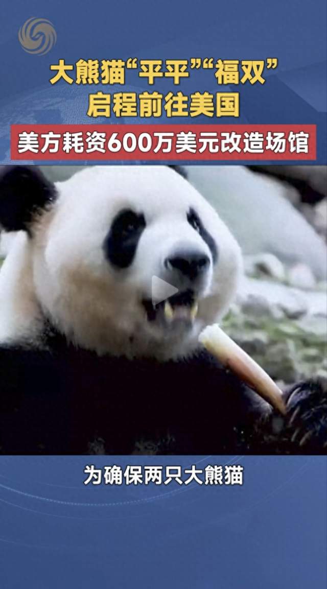 大熊猫“平平”“福双”抵达美国