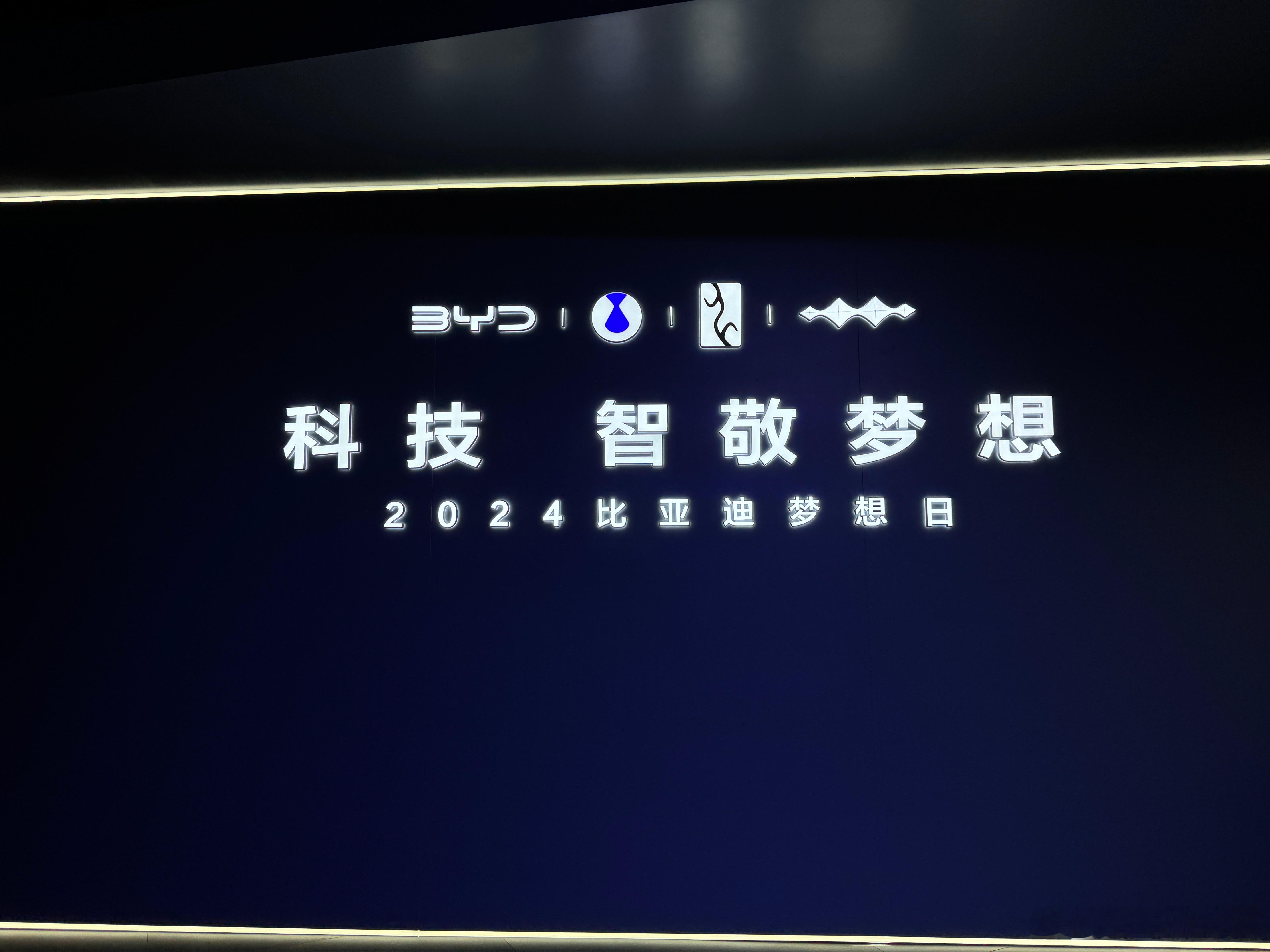 今晚是比亚迪梦想日，估计有智能化的大技术[笑而不语]新能源上半场是电动化，比亚迪