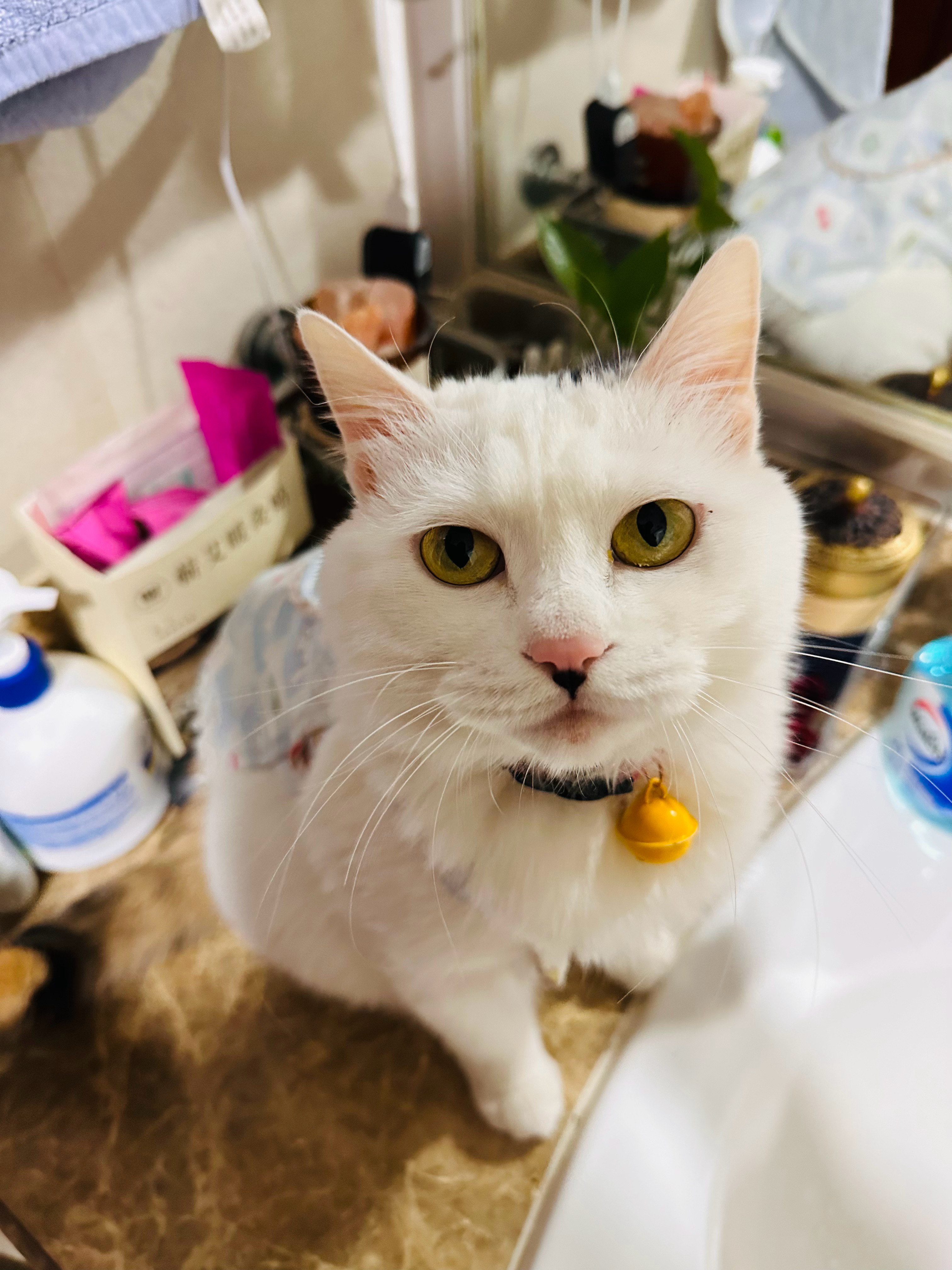 黄金的周期里藏满了金牛认假成真的执拗和天蝎对动荡的执迷，世界越不稳定黄金价越高。