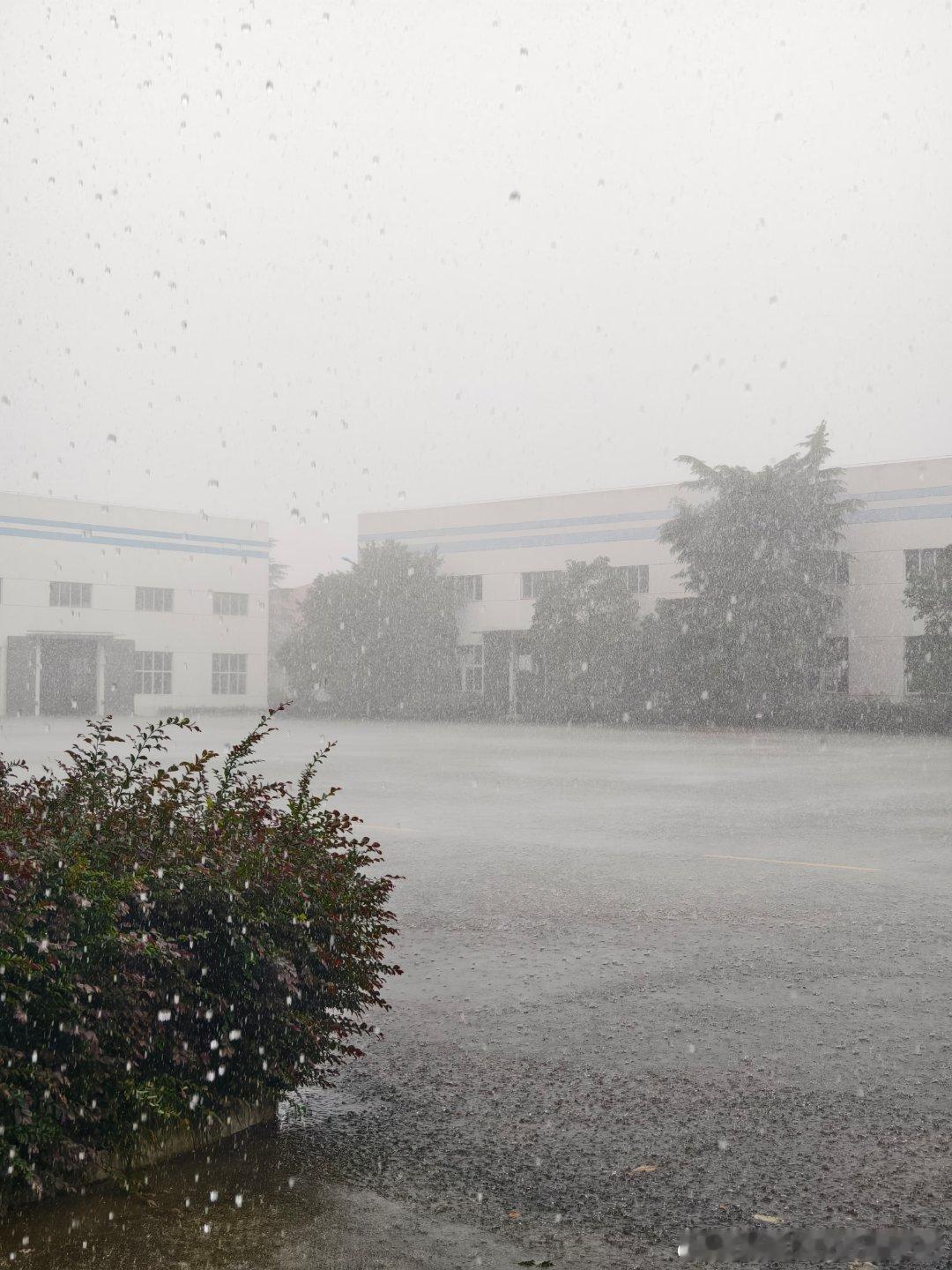 下雨就得这么下。爽快。搬砖 ​​​