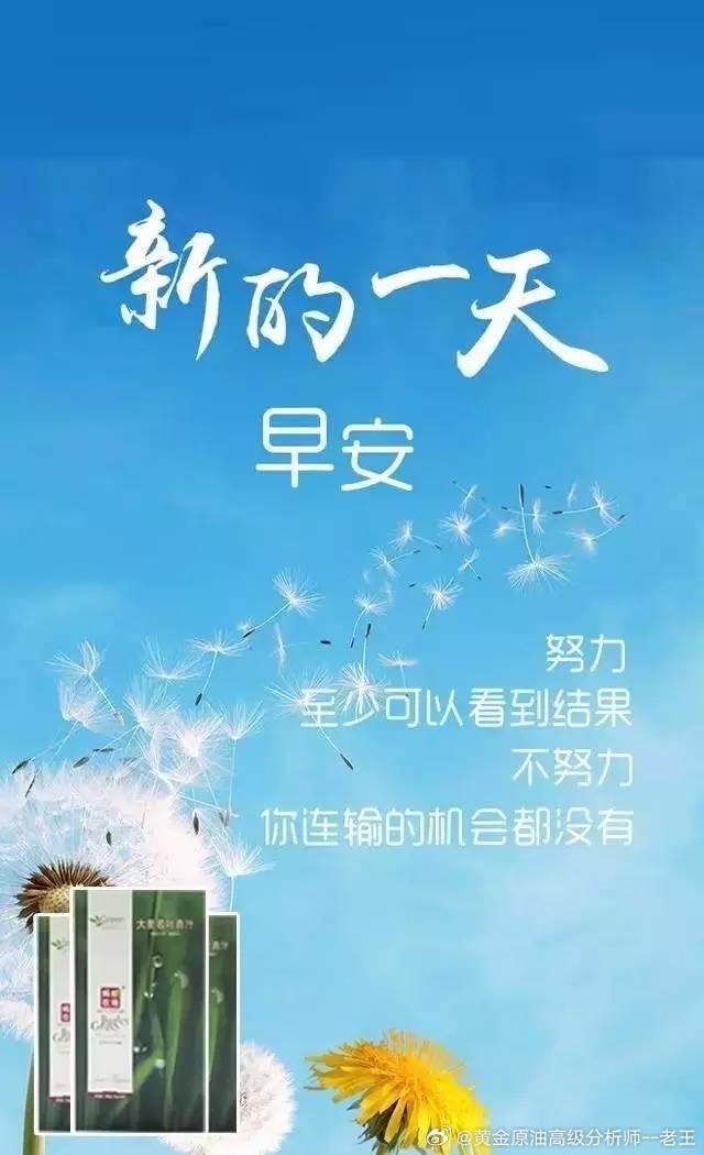 周三，早！！外汇高级金融分析师老王