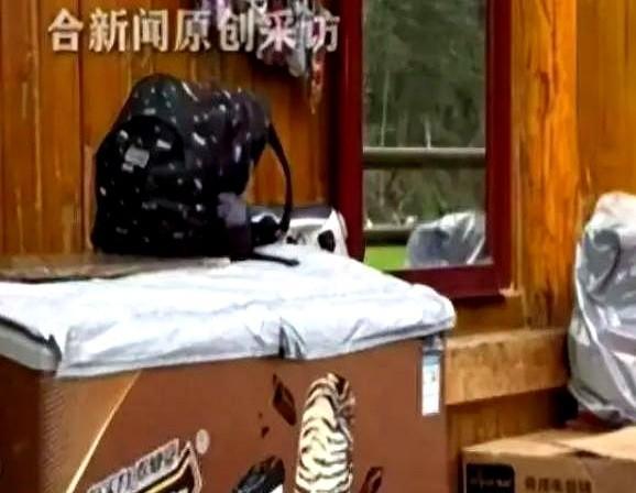 九寨沟这事，真是开了眼了。
一个女游客在路边看见一面镜子，顺手拢了拢头发。就这一