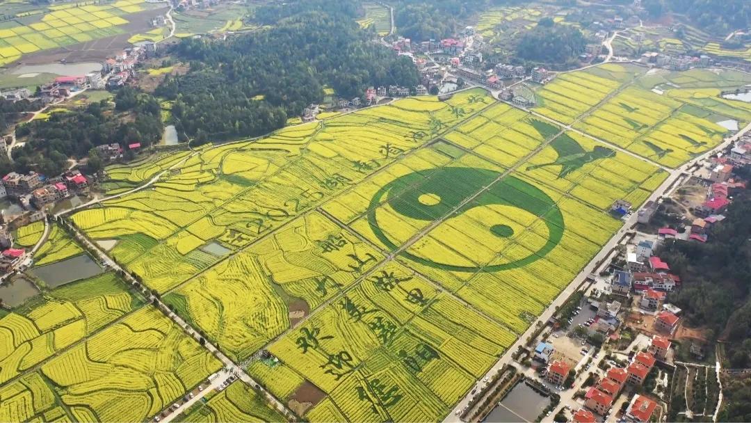 3月16日，衡阳县库宗桥镇华山村，航拍视角下的油菜花海。微风拂过，金波荡漾。令人