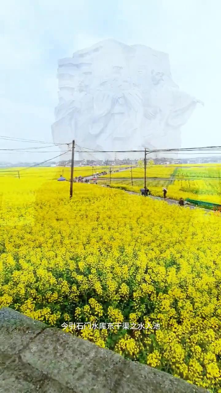 汉刘邦下令所修的皇塘，油菜花开正好。
你知道刘邦下令所修的皇塘什么样吗？快来看看