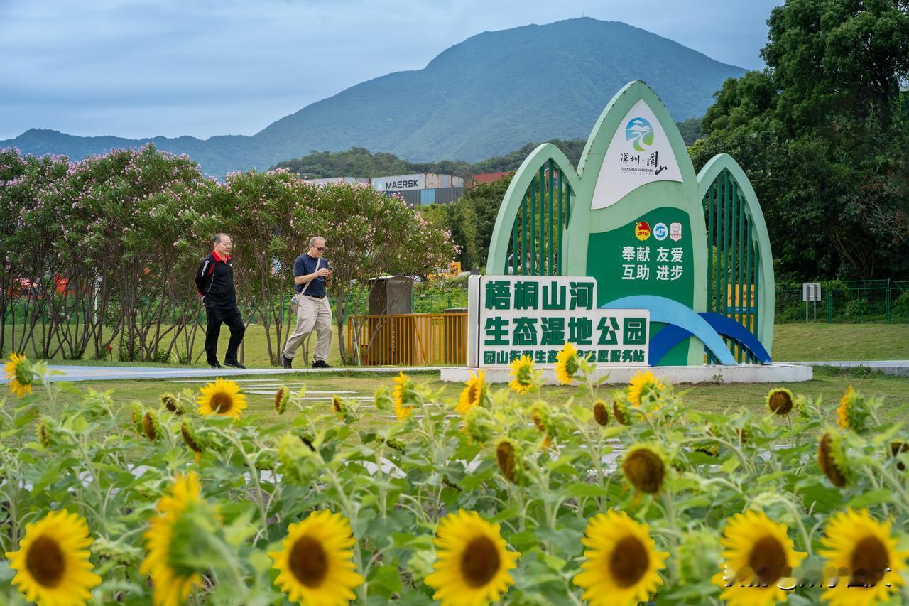  都市生态秘境，心灵水岸花园——深圳梧桐山河湿地公园
【诗与景】游湿地公园
龙岗