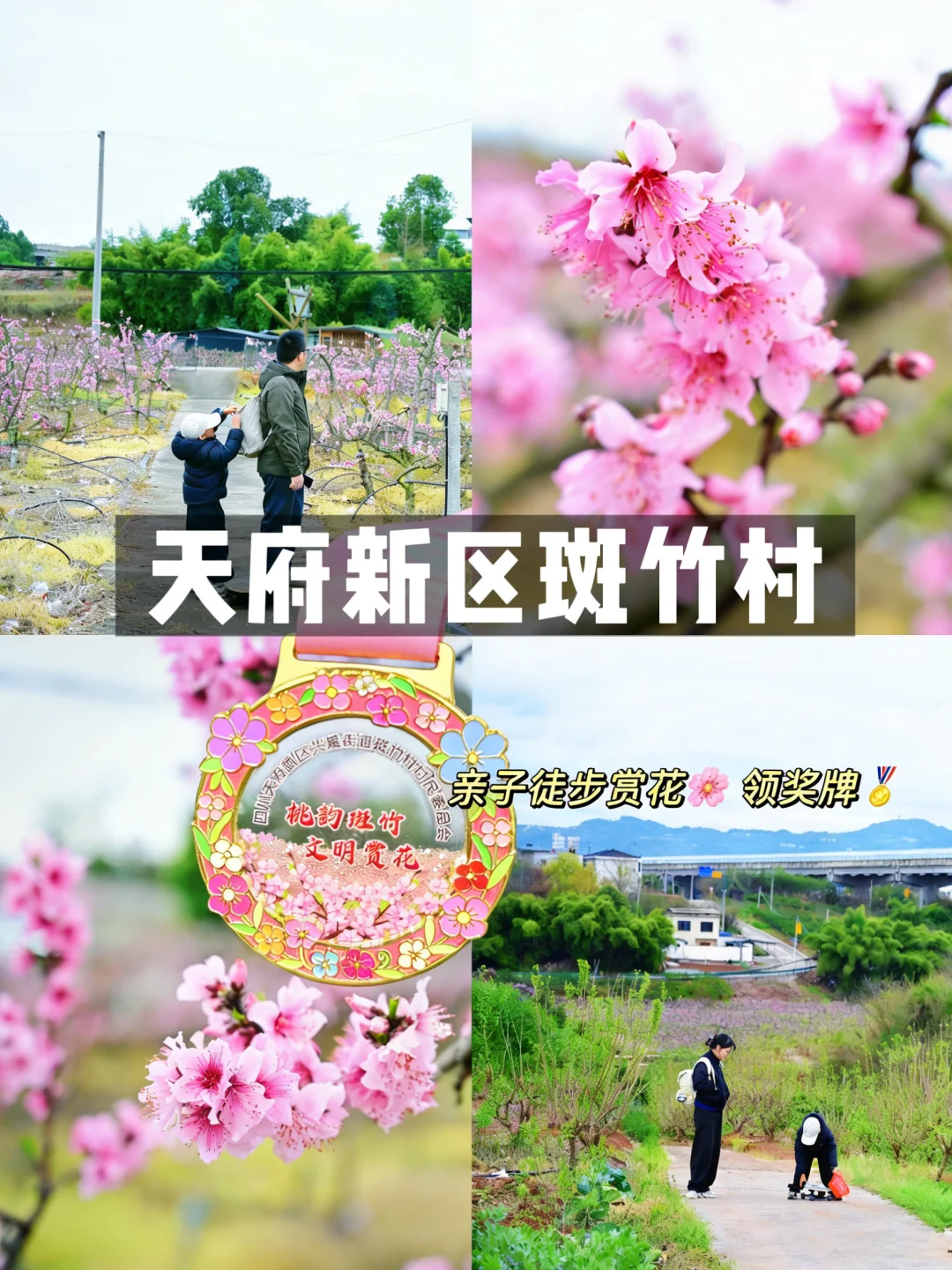 成都周边30min‼️天府新区斑竹村徒步领奖牌