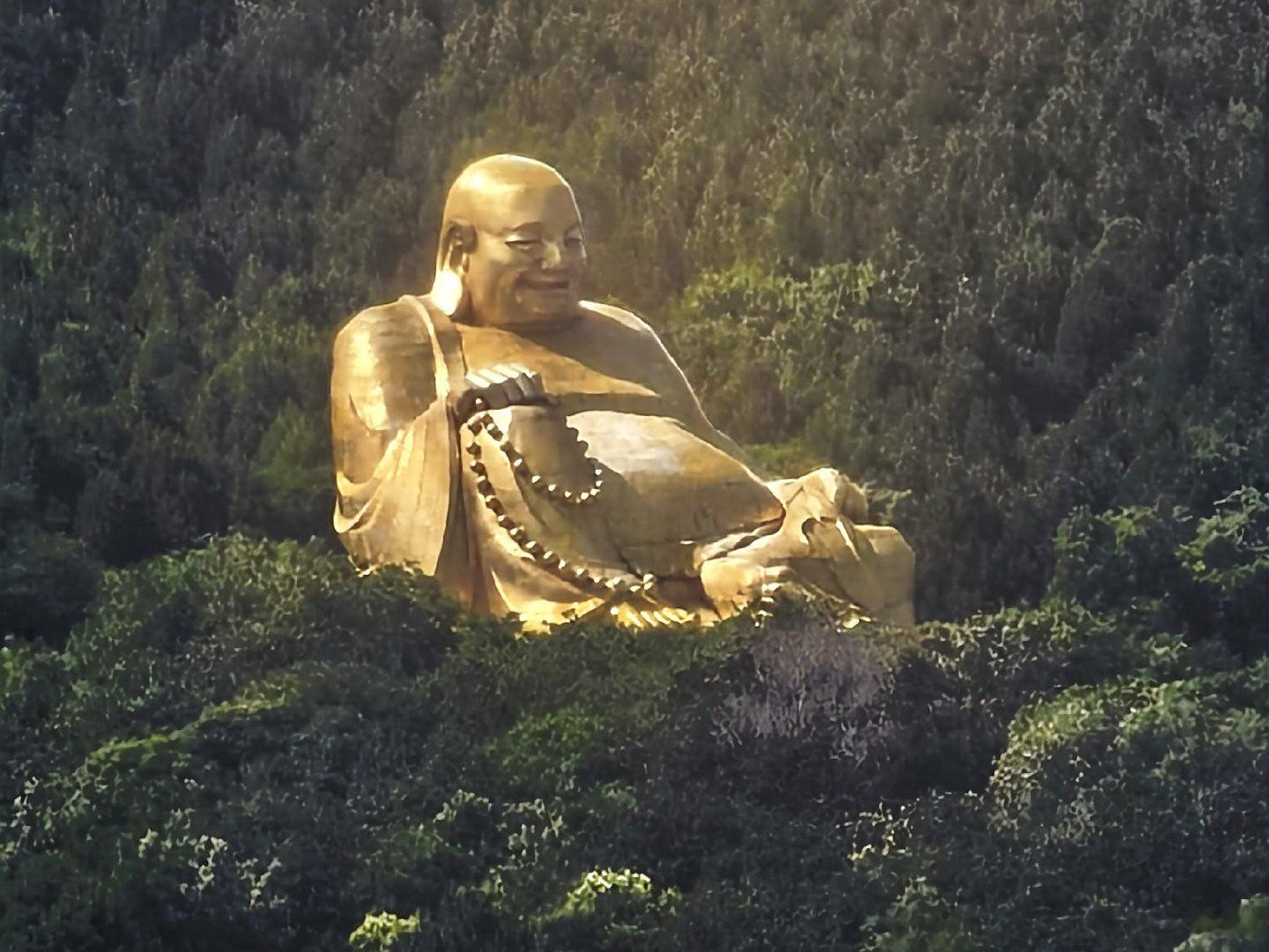 智欲圆而行欲方，胆欲大而心欲小。 济南·山东中医药大学附属医院（东院区）