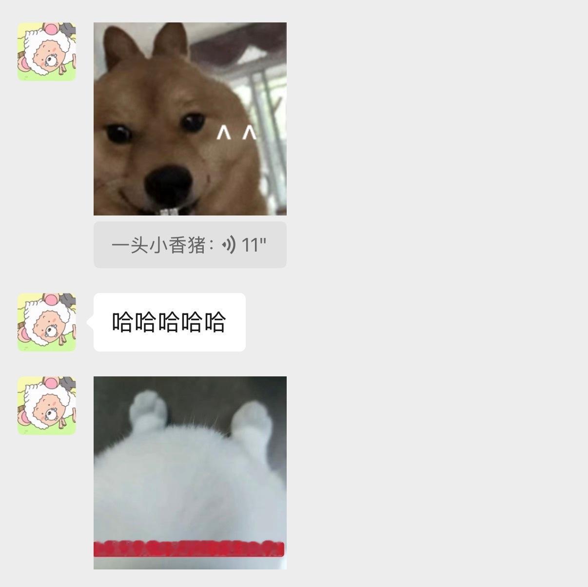 真事 之前粥粥每次化妆都要贴假睫毛 我给她拍照发现她老睁不开眼睛 还没素颜眼睛大