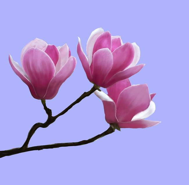 周一跷跷板效应再度显现，周二风险与机会剖析！
周一盘后新消息：
据香港英文媒体《