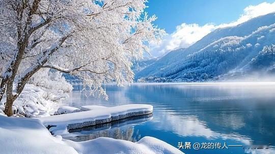 冬日生活打卡季