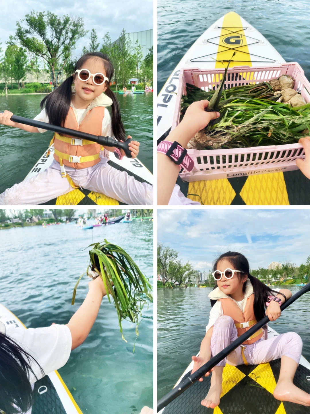 武汉遛娃| 在麓洲划浆板种水草🌿太有意义啦