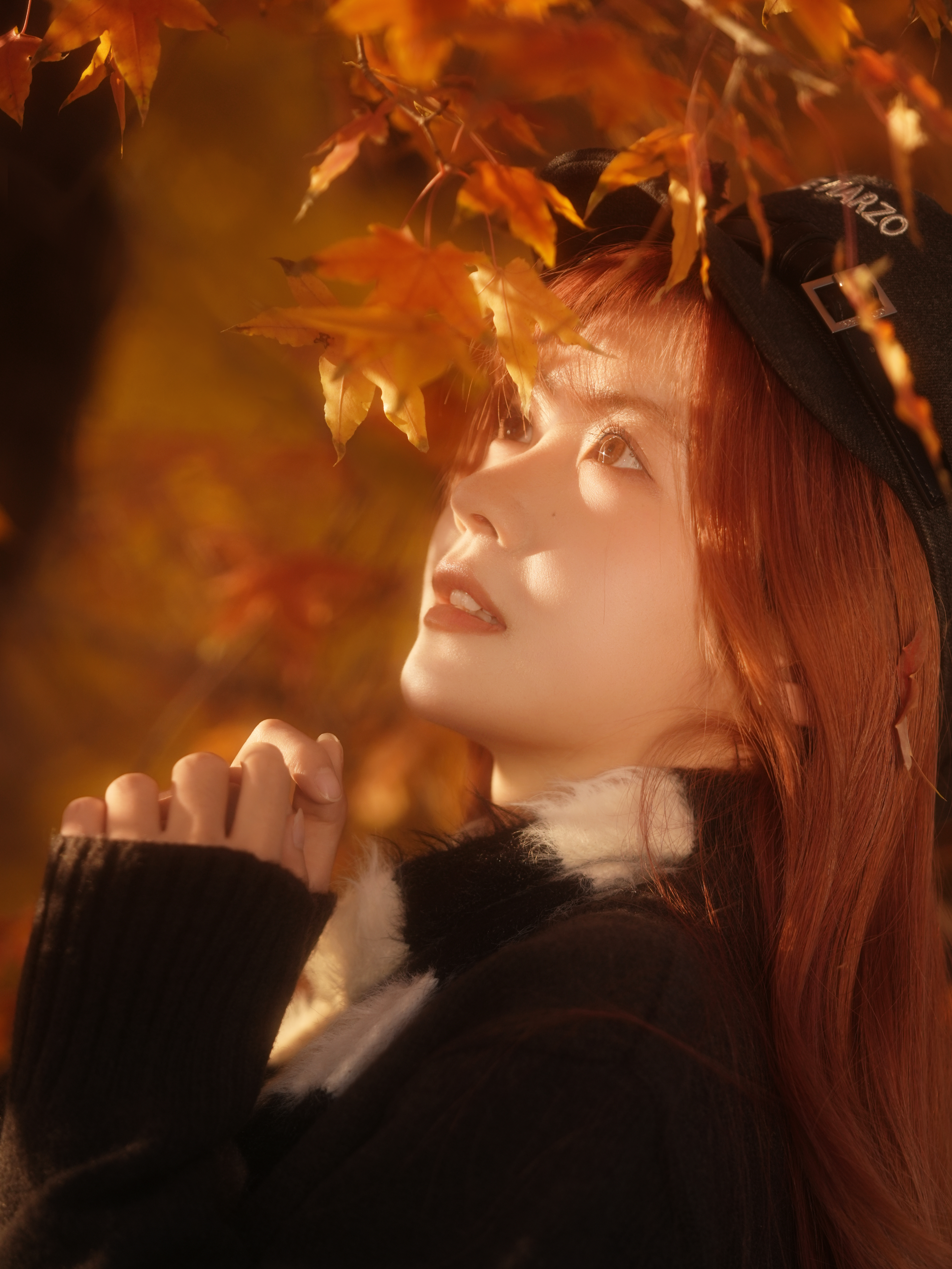🍁