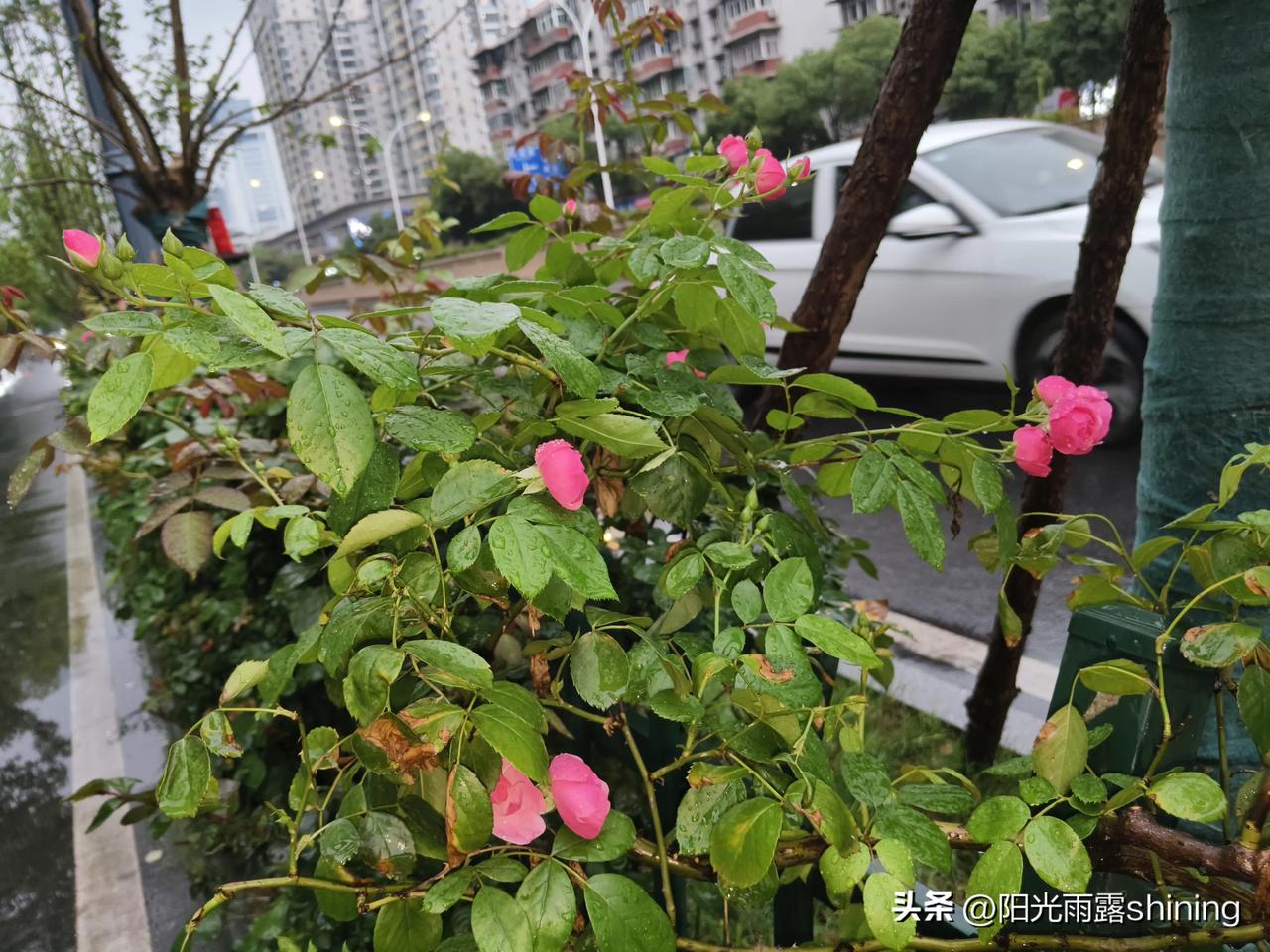 当年为什么选择文科/理科选理科，而没选文科，是不想背文科的那么多长篇大论，感觉很