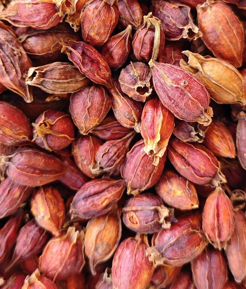 今日亳州中药材市场部分药材价格:栀子32元/kg，北沙参33元/kg，防风42元