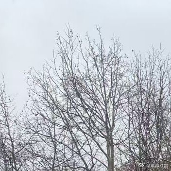 今天的故事，也许有遗憾，但明天还有机会去改写。现在，安心睡吧。晚安。 