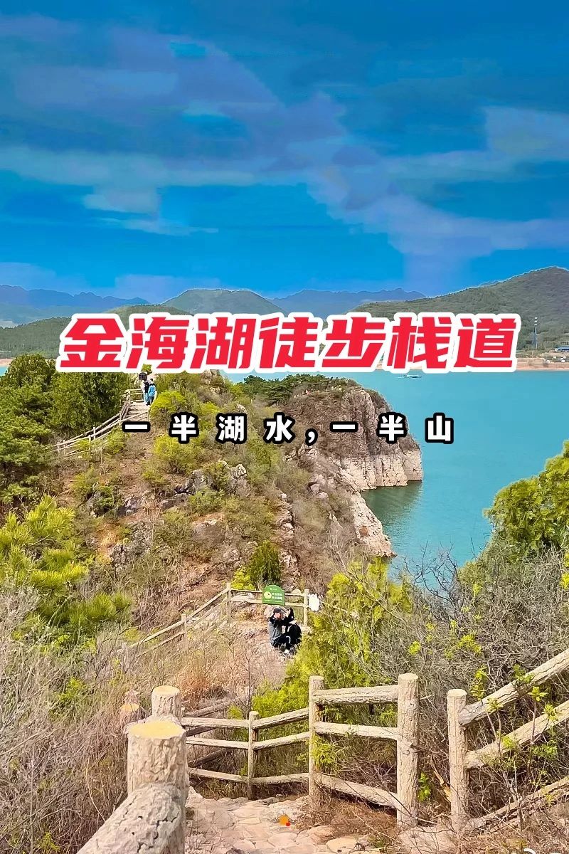 周末休闲徒步｜金海湖栈道7公里
