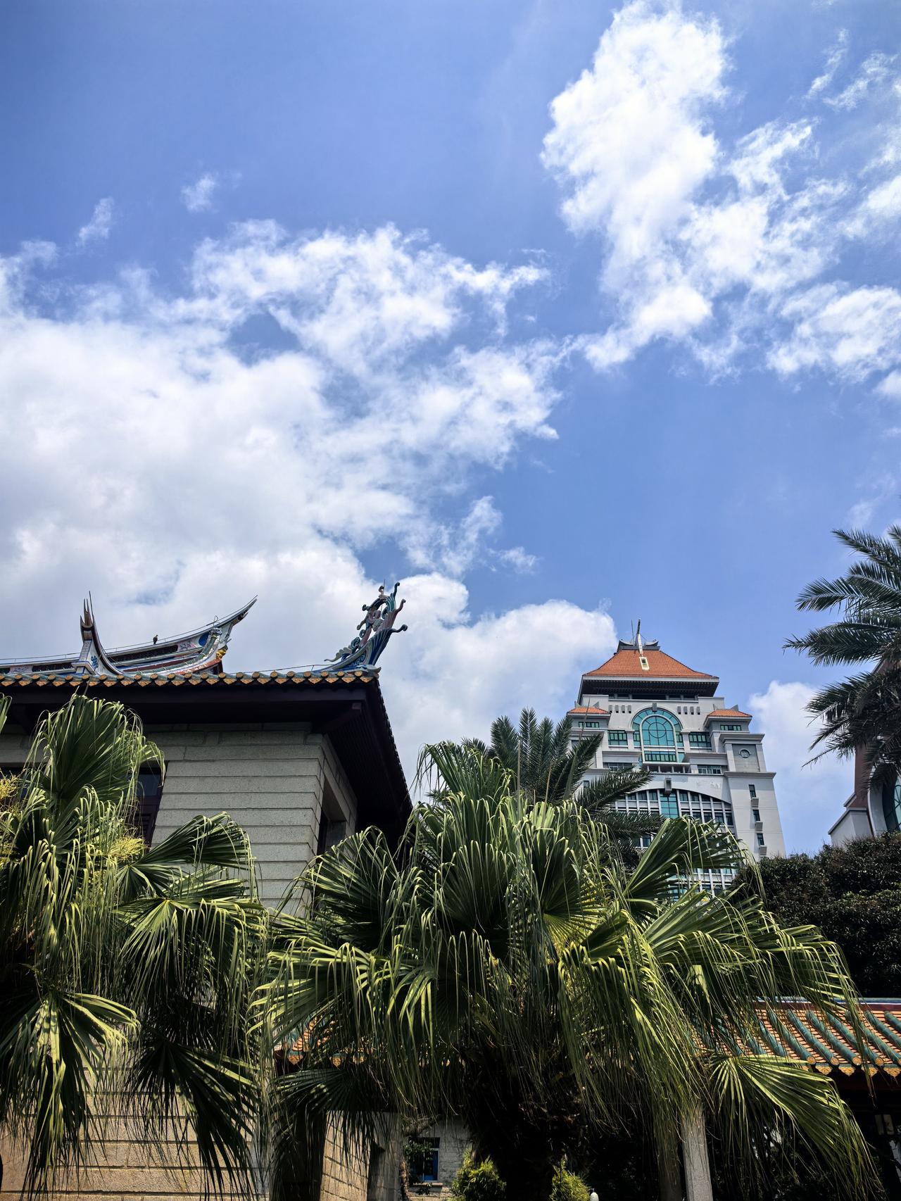 记录我的2026逛吃逛吃的一天，海边吹风，厦大打卡，吃本地菜，品武夷茗茶，浪够了