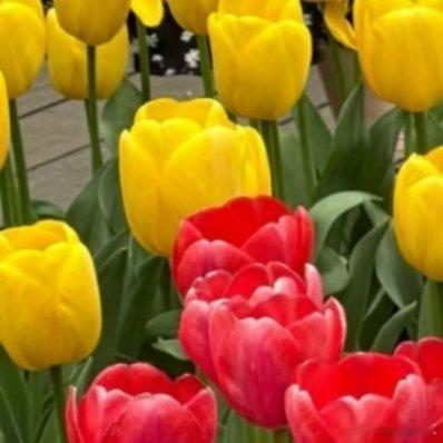 每日一善｜阳光信用生活从来没有捷径，别人为了梦想默默耕耘，只是你没看到而已。停止