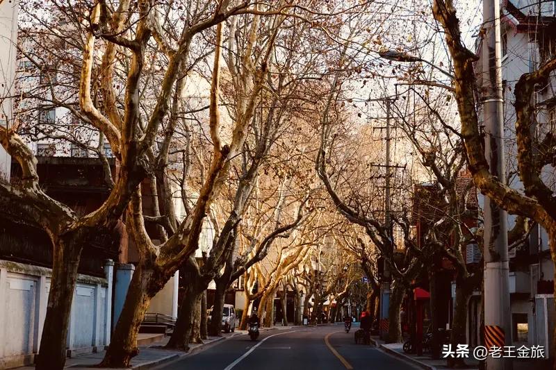 秋日生活打卡季 秋日生活打卡季
最近彻底把夏天赶进度式的生活节奏慢下来了，踩着凉