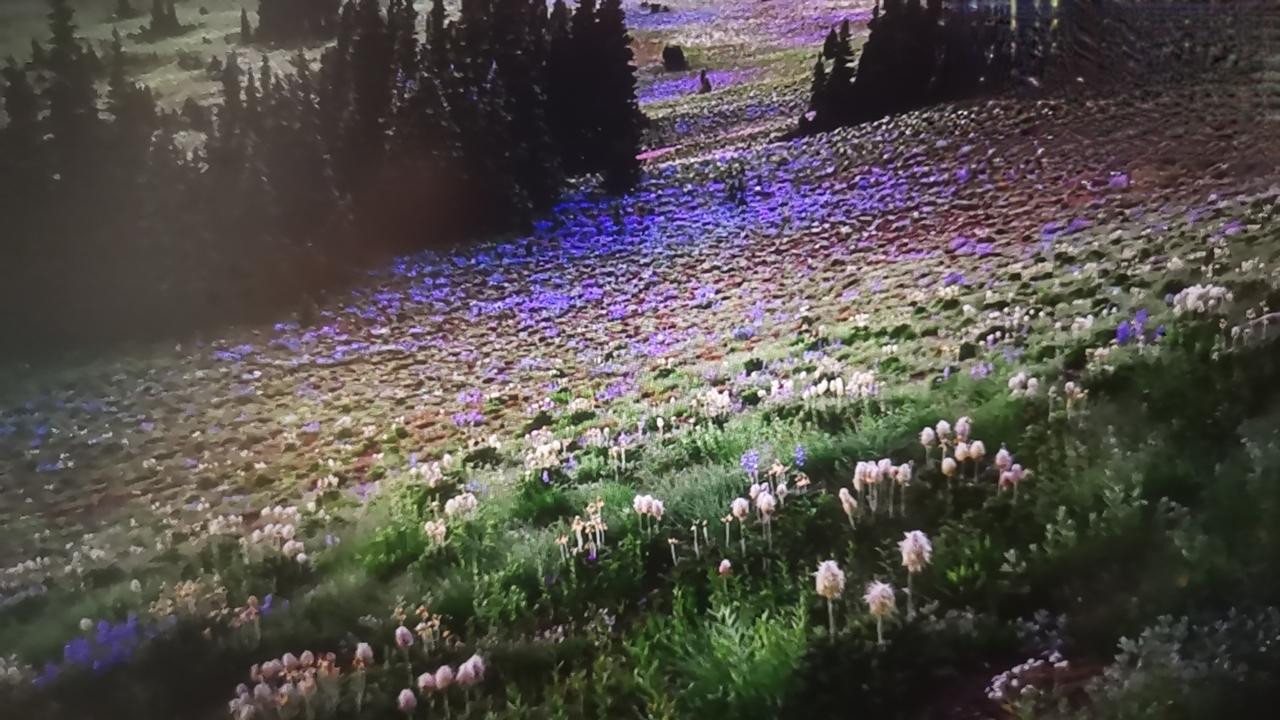 @豆包 帮我点评