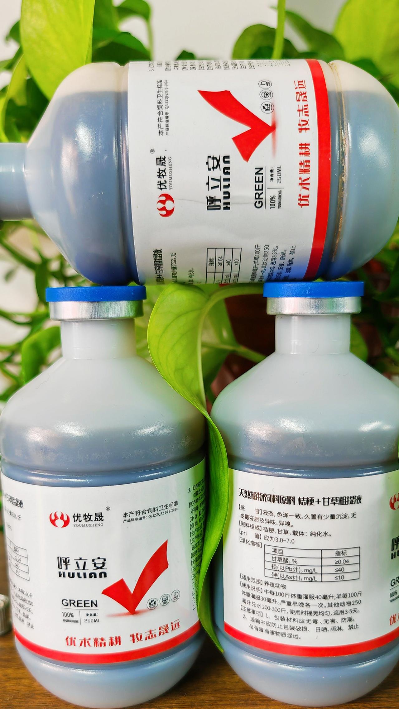 养羊人 农村养羊 牛羊养殖