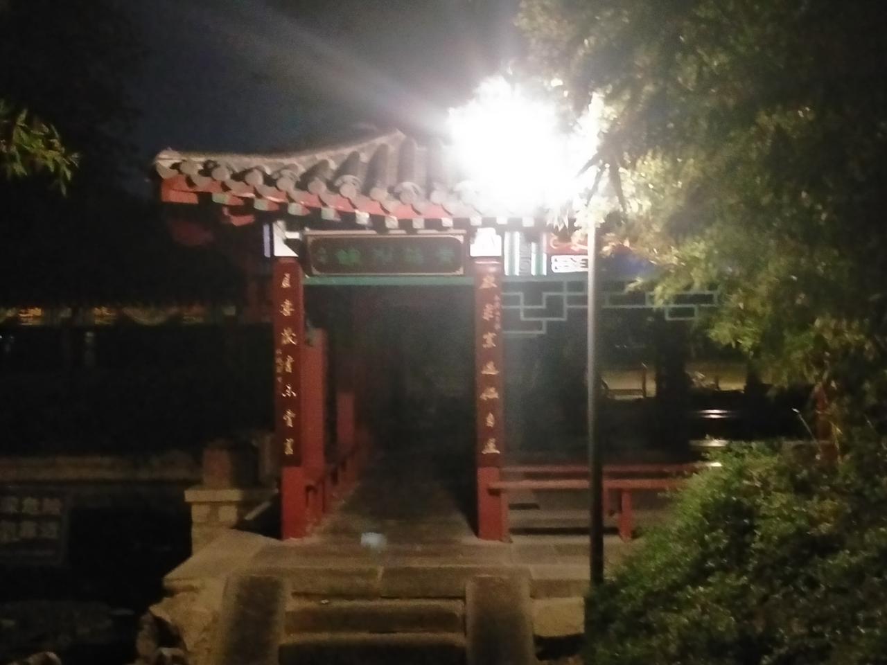 分享一张今天的照片吧