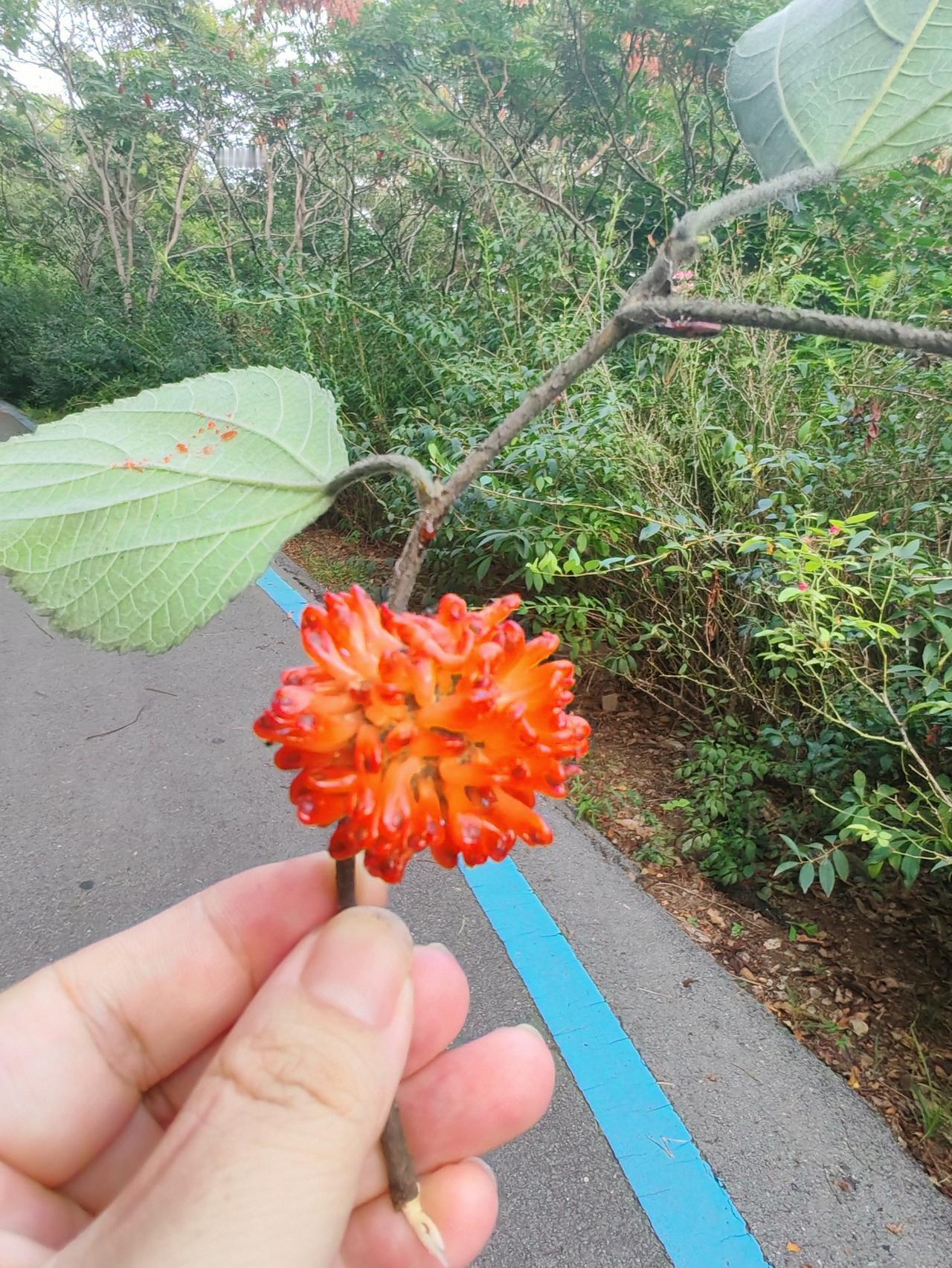 我就抽个奖，这是啥？