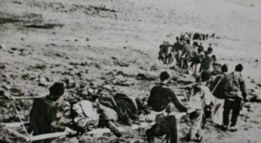 1937年，刚从地里回来的老王头，放下锄头推开院门，看见老婆子怀里抱着一个光溜溜