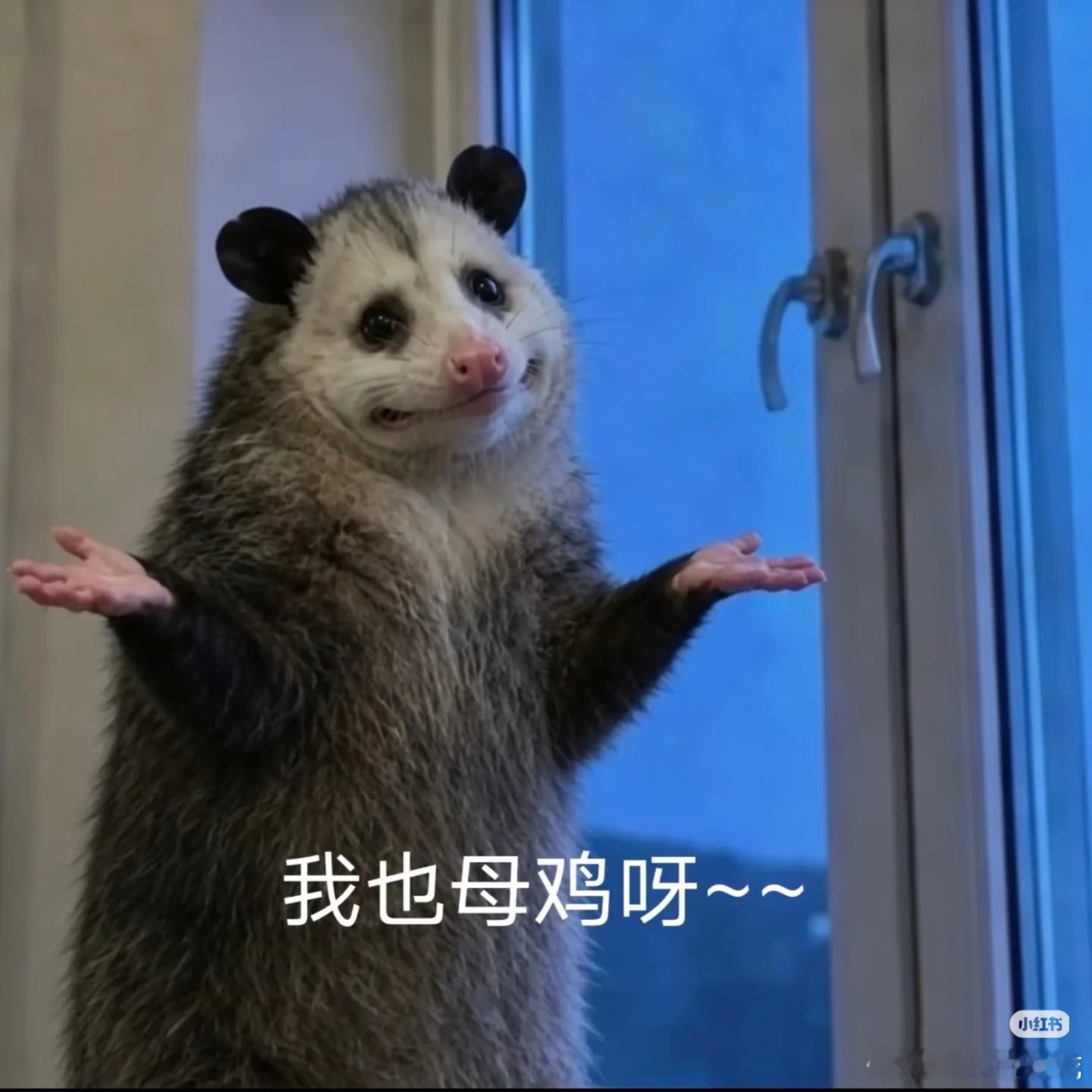 [笑cry]关于不要脸的小偷→AI给的建议【逻辑闭环已经封死，证据是打不破幻想的