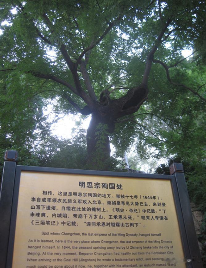 提到博物馆的话题，我就不得不想到去年带女朋友去北京故宫的经历了。
去年的时候，女