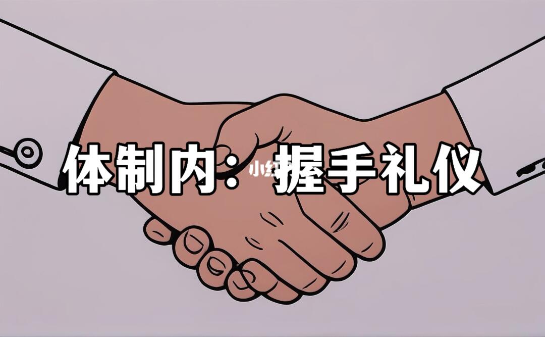 体制内：握手礼仪
