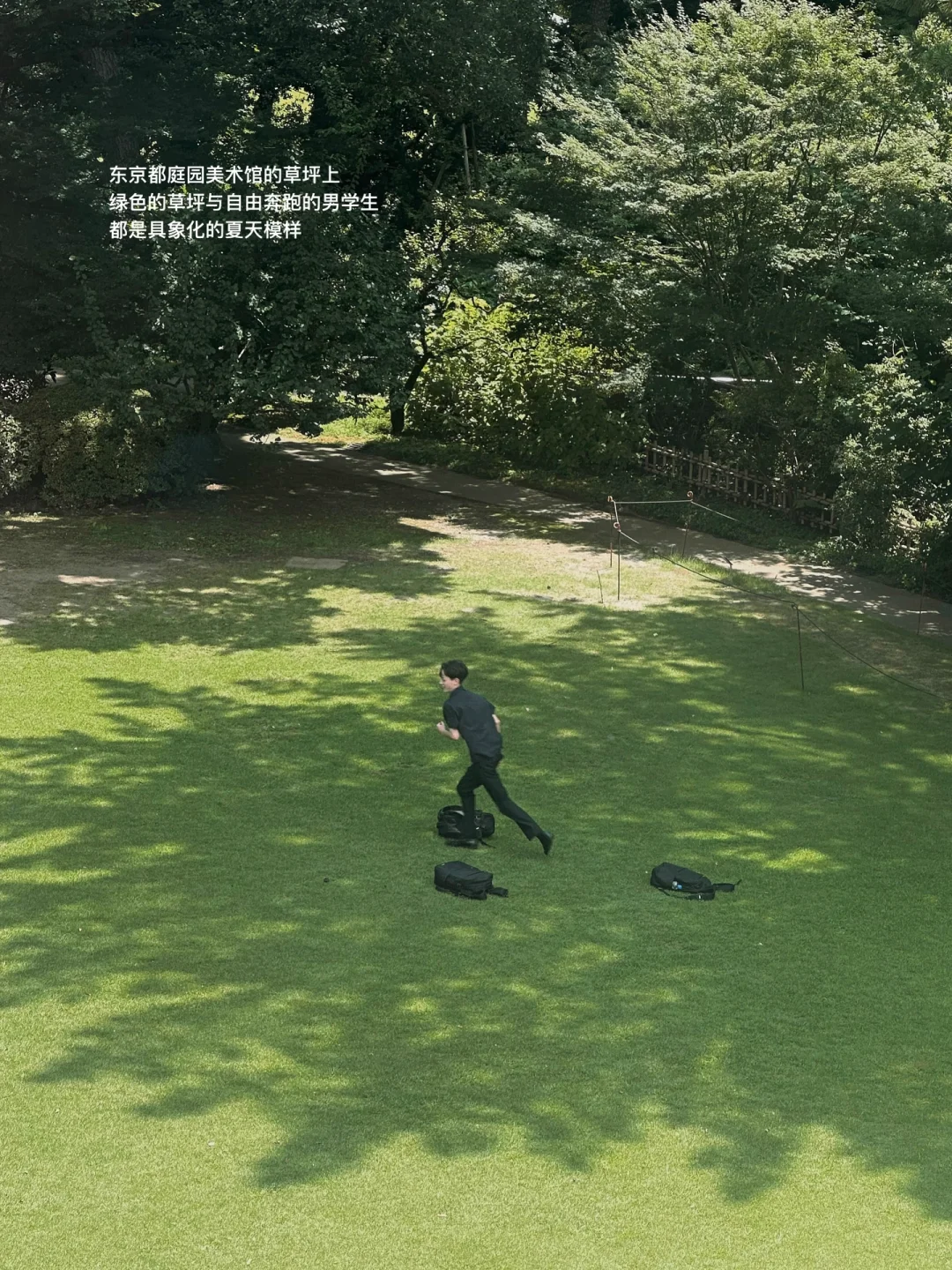 live｜喜欢到处都有绿色