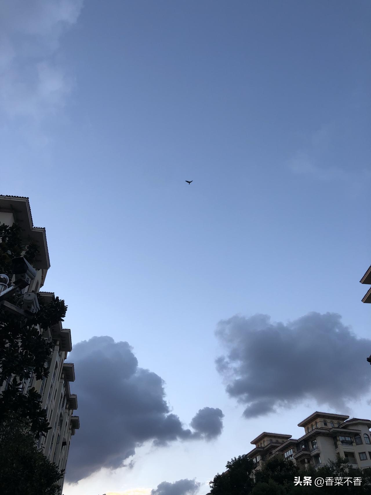 分享一张相册里随手拍的天空南京的天空已经有四天没见太阳了🌞，太阳公公赶紧回来除