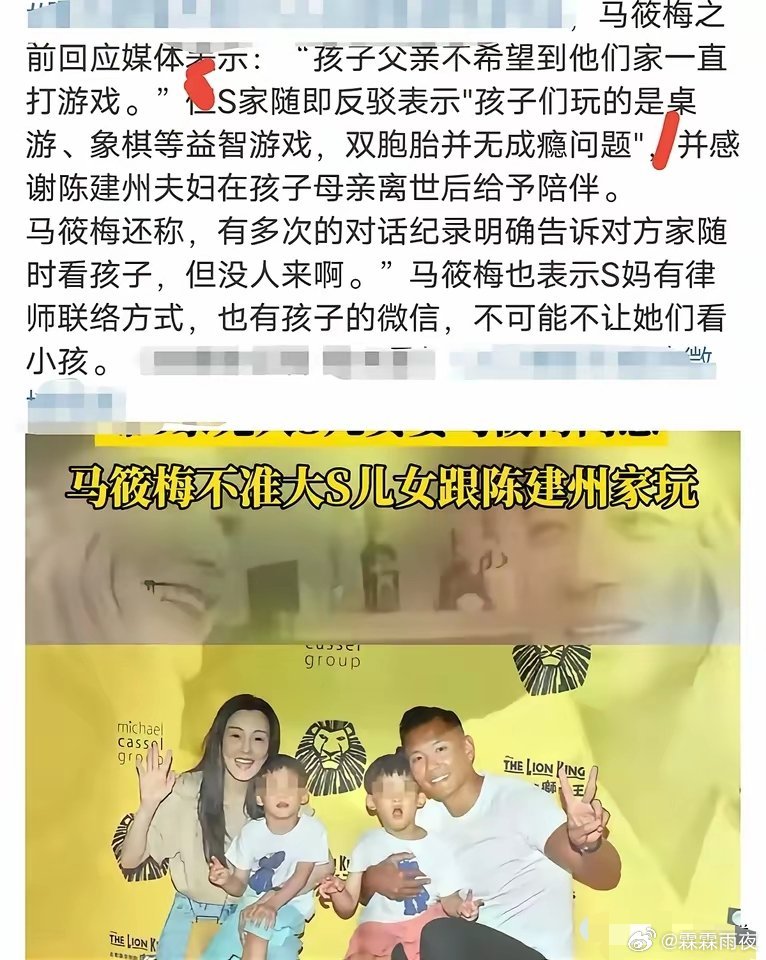 S家再发文反驳，俩孩子去陈建州家玩的是益智类游戏！而不是电子游戏！汪小菲之所以不