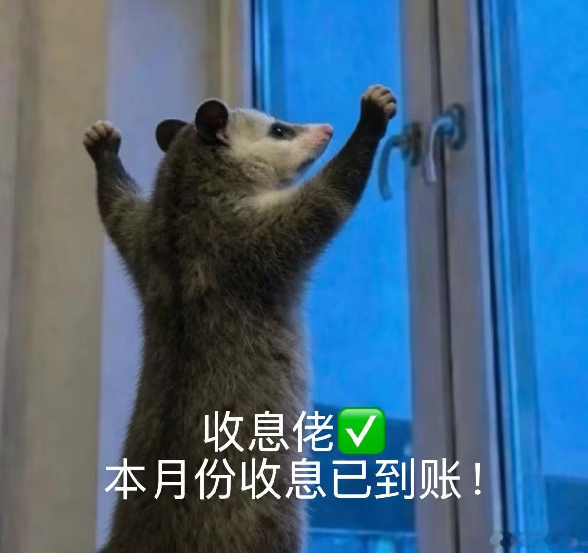 低利率环境年轻人重新当起收息佬一直把钱放zfb里，平时要用的钱放余额宝，暂时不用