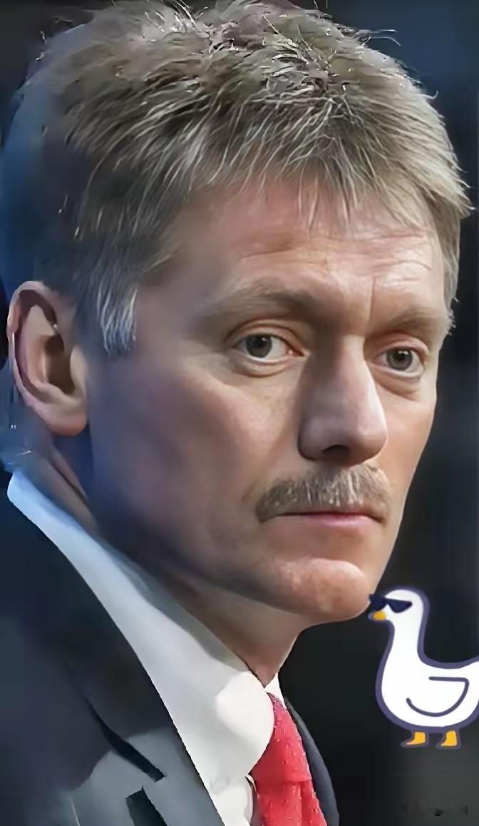 俄罗斯宣布称

2026年2月3日，俄罗斯总统新闻秘书佩斯科夫表示，俄方未收到任