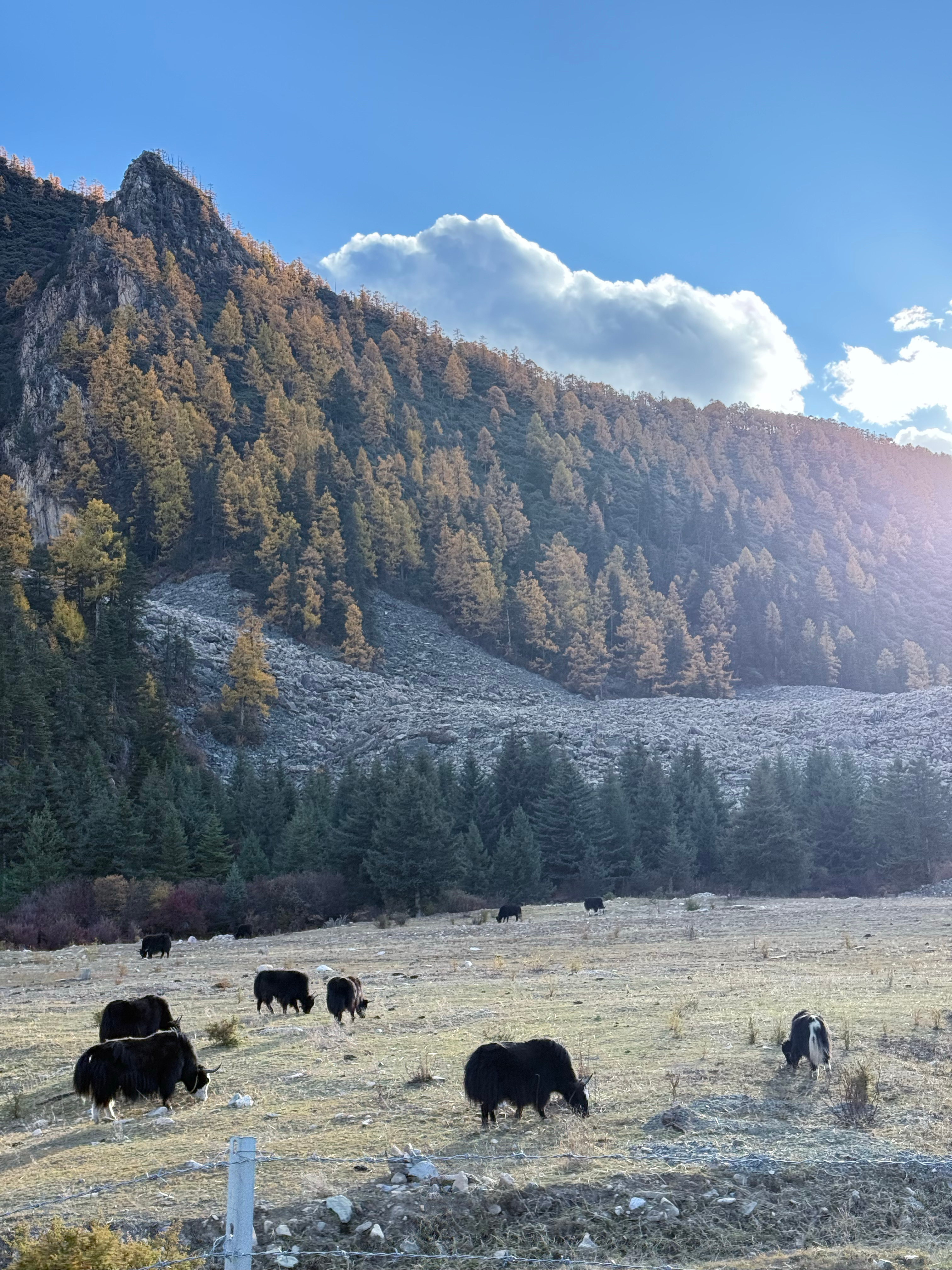 🏔️🧤🌌🚞 净化眼睛和心灵的川西之行非常幸运遇上了全女4人小团～大家氛围